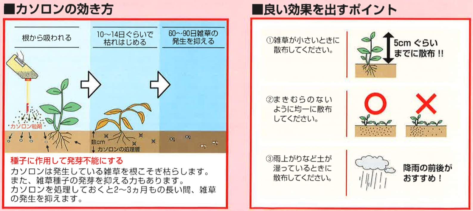 Amazon.co.jp: アグロカネショウ 除草剤 カソロン粒剤4.5 3kg : ペット用品